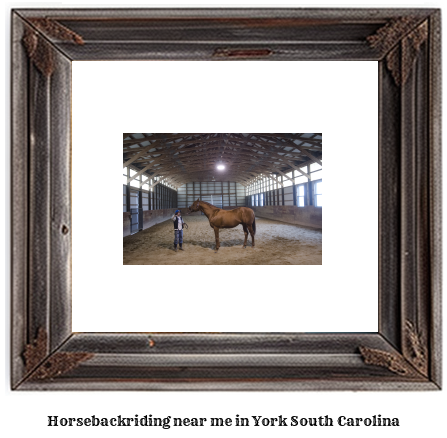 horseback riding near me in York, South Carolina